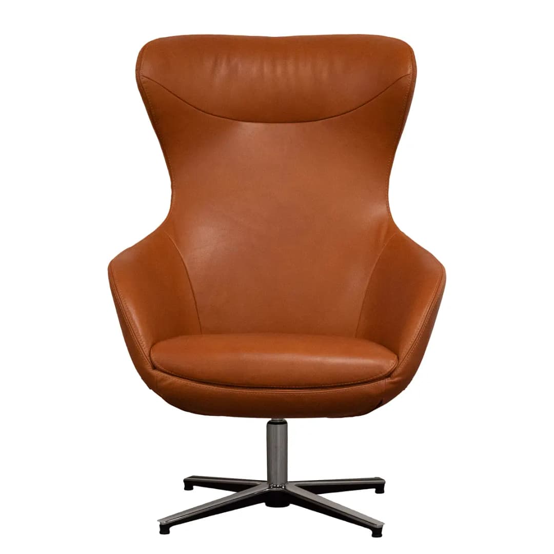 Sessel Braun Echtleder Bulle | Braun