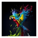 Glasbild Colorful Ara | Mehrfarbig