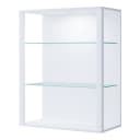 Wandregal Glasol | Weiß