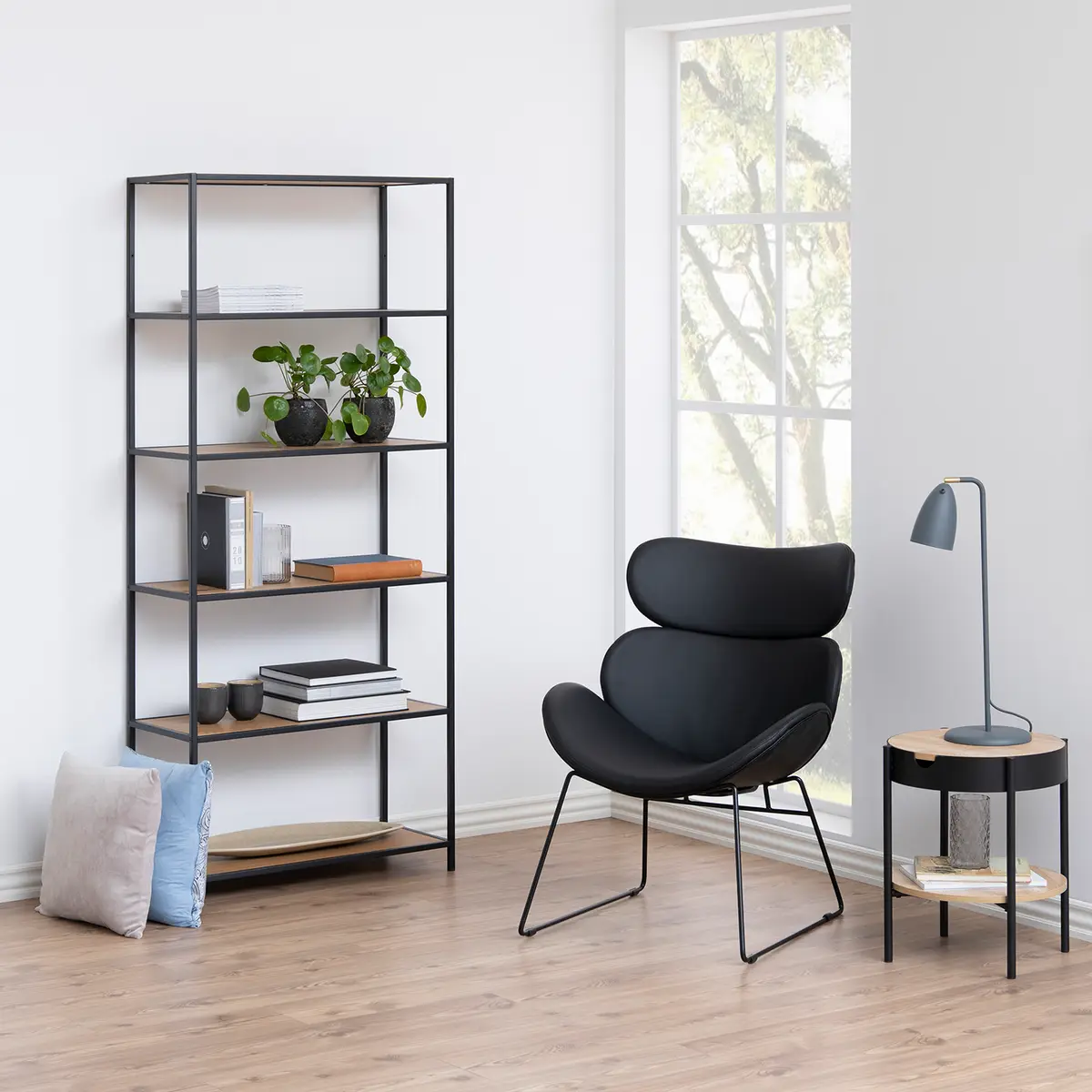 Regal III | Braun