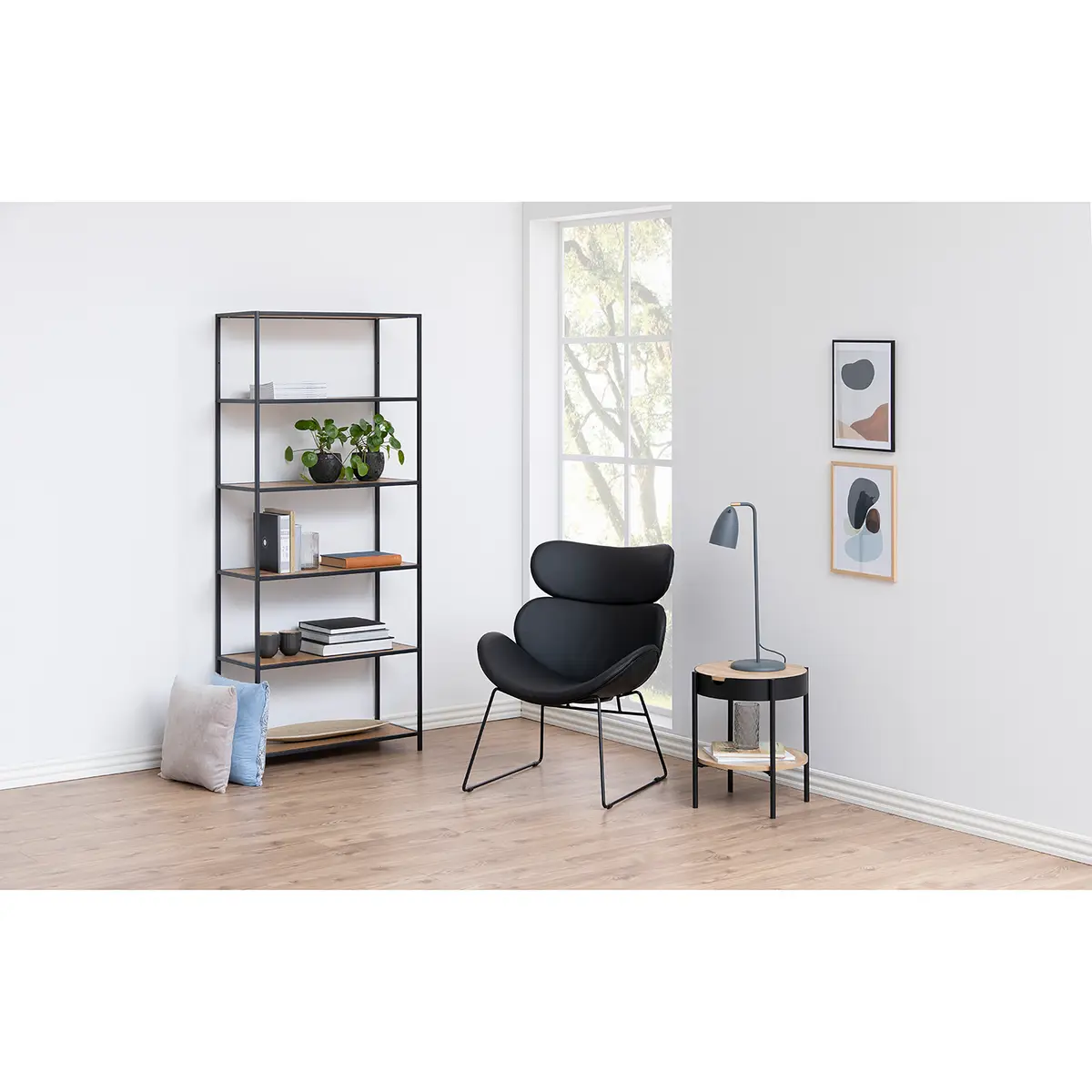 Regal III | Braun