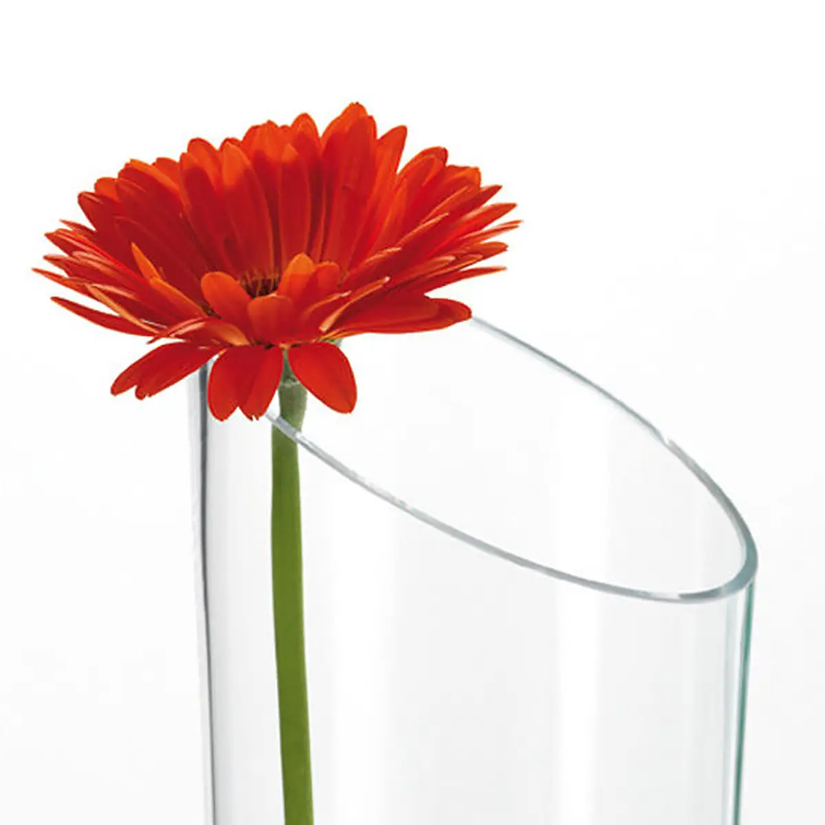 Vase Dynamic 40cm | Transparent