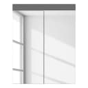 Spiegelschrank I 60 x 77 x 17cm Grau/Grau | Grau