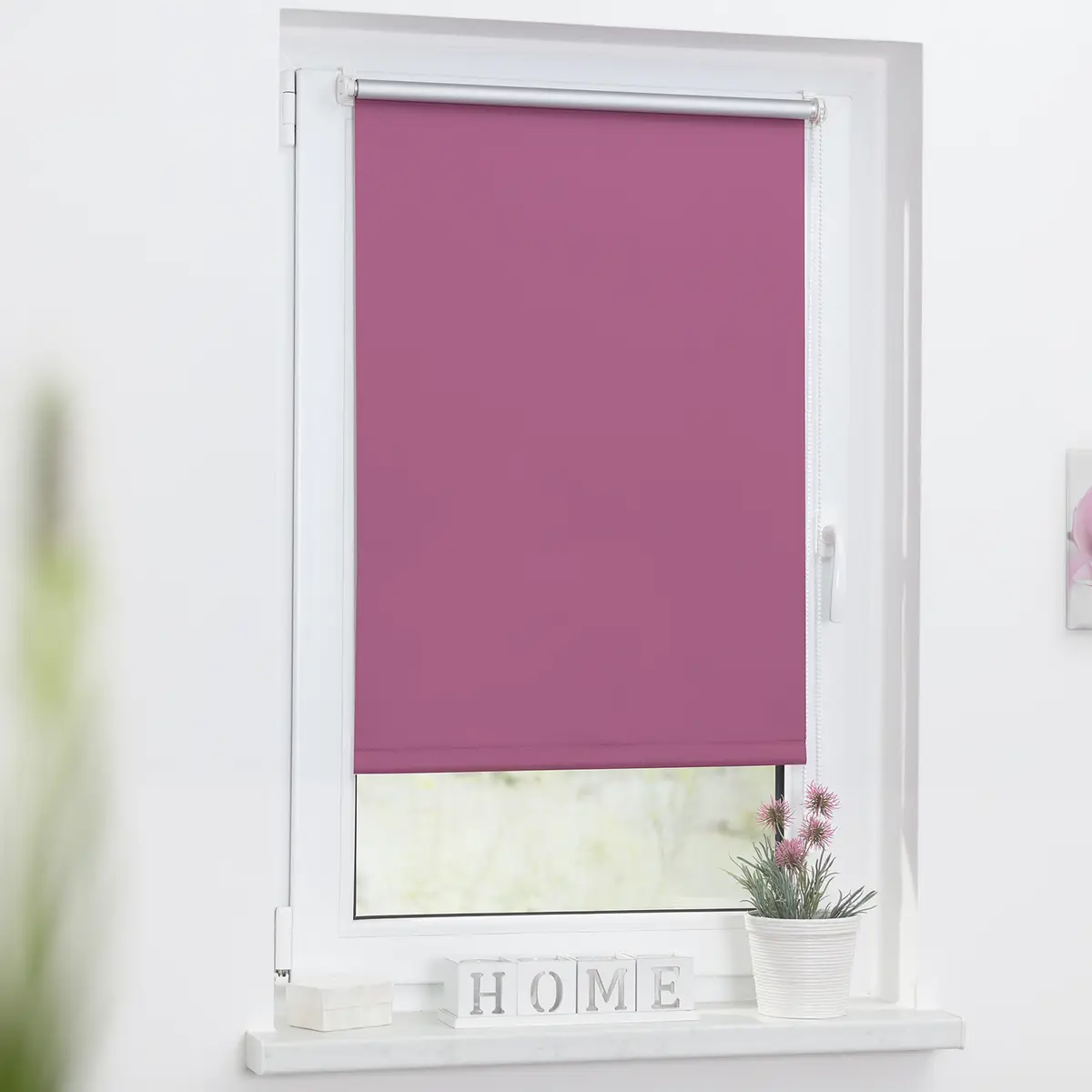 Thermo-Rollo Spotswood VIII | Pink