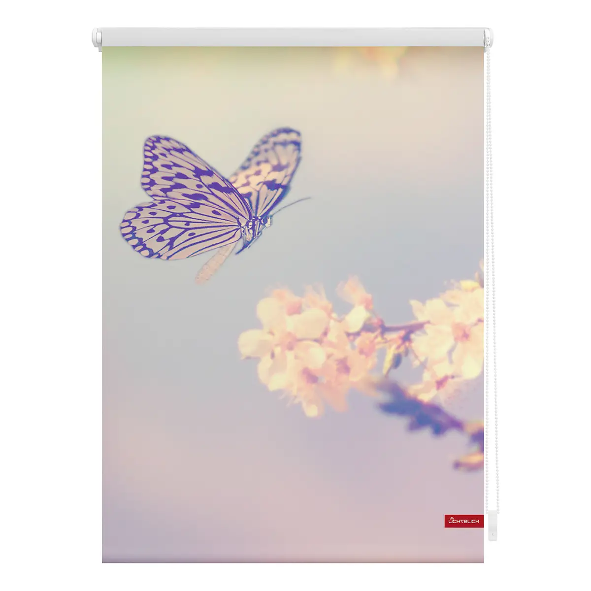 Klemmfix-Rollo Schmetterling | Rot