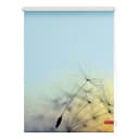 Klemmfix-Rollo Pusteblume | Blau