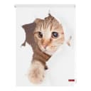 Verdunkelungsrollo Katze | Weiß