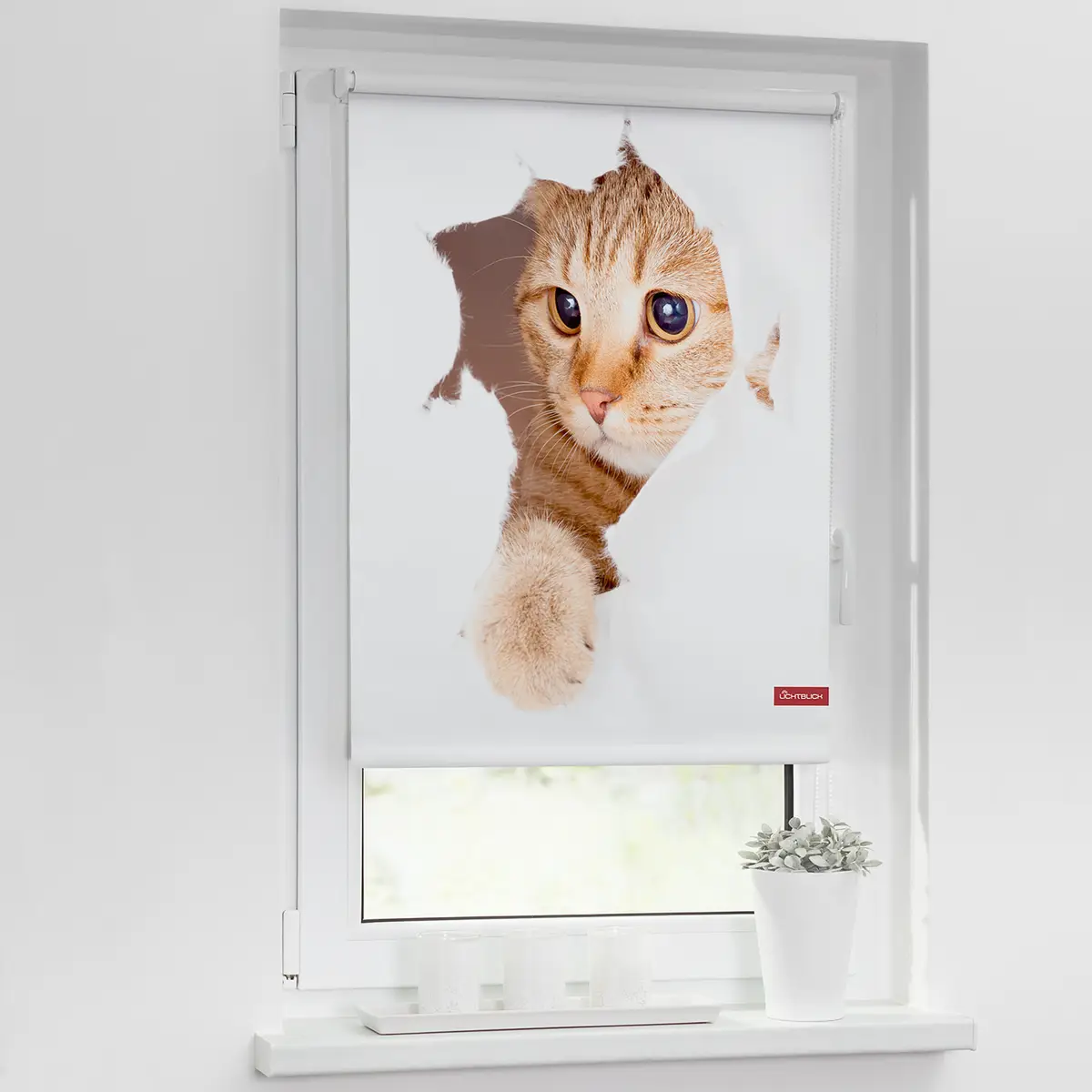 Verdunkelungsrollo Katze | Weiß