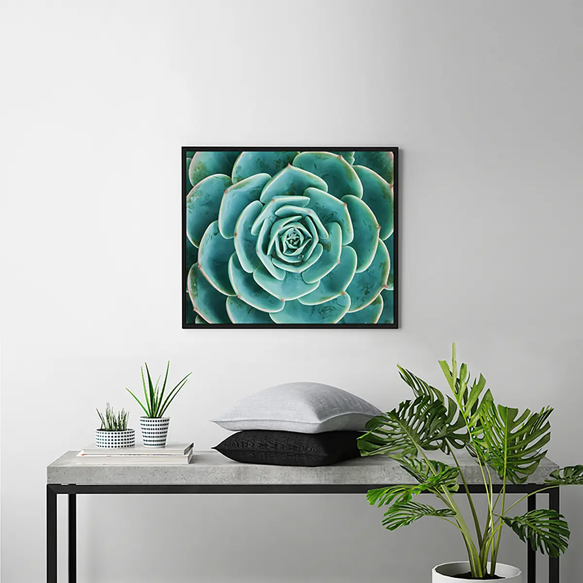 Bild Arrangement of the Succulents | Mehrfarbig