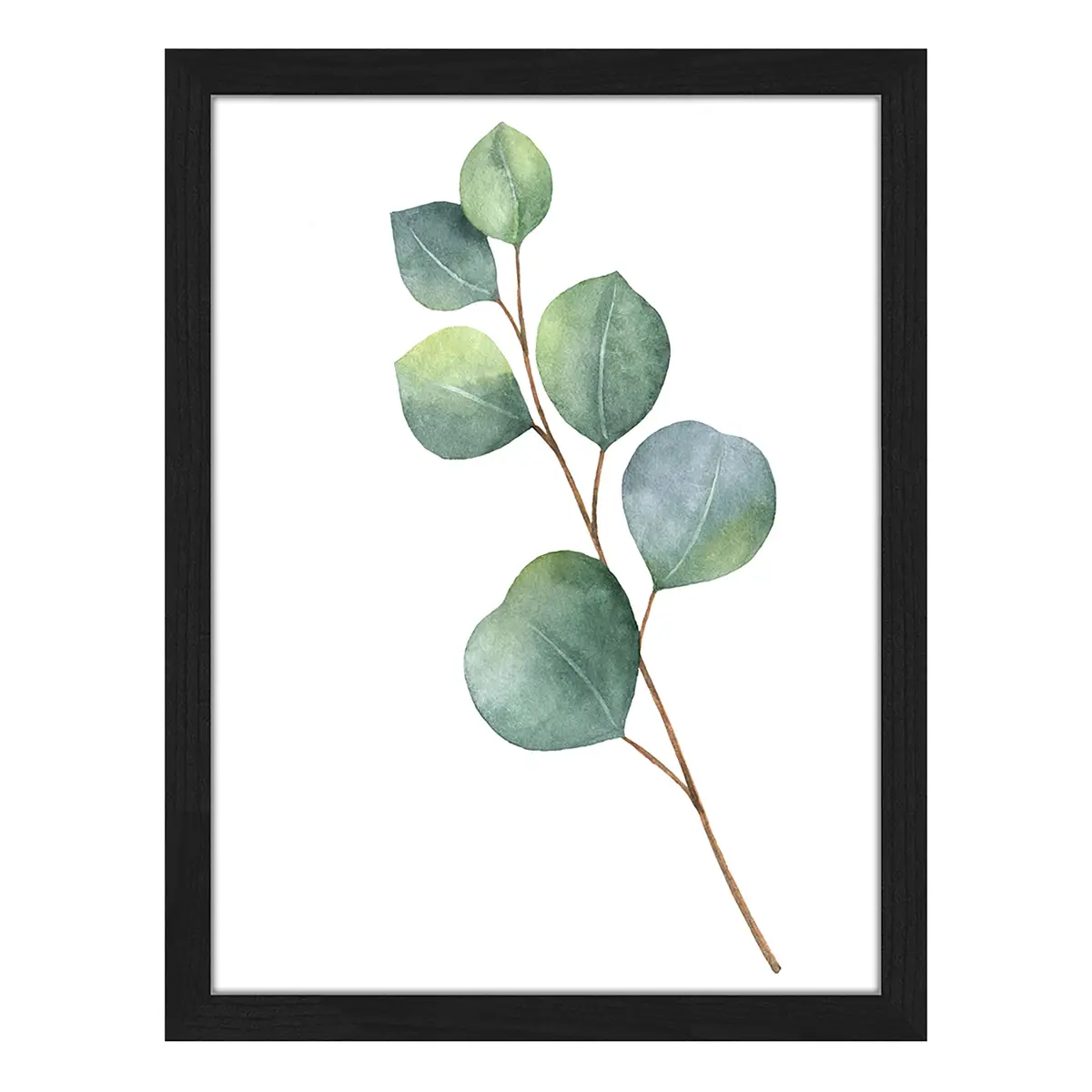 Bild Eucalyptus Rahmen | Mehrfarbig