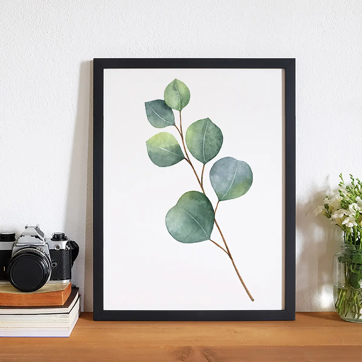 Bild Eucalyptus Rahmen | Mehrfarbig