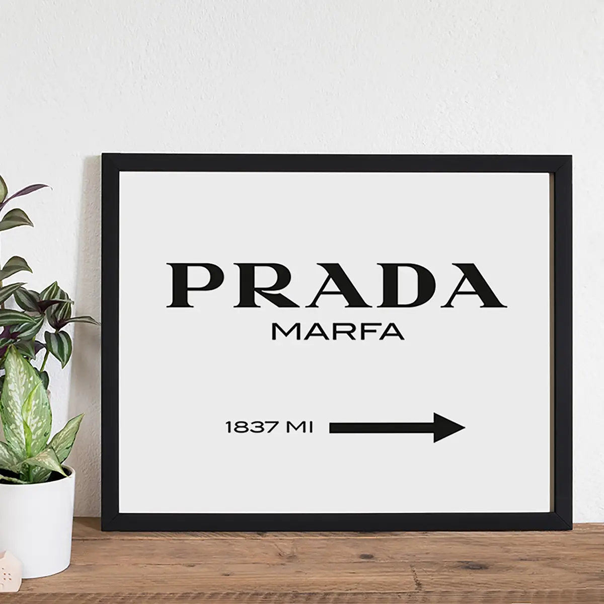 Bild Prada Marfa | Mehrfarbig