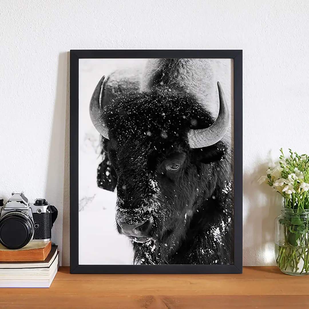 Bild Snowing black and white | Mehrfarbig