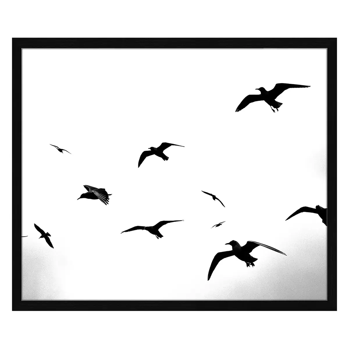 Bild Flaying Seagulls | Mehrfarbig