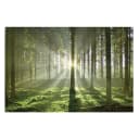 Bild Spring Fairytale Webstoff Multicolor 120 x 80cm