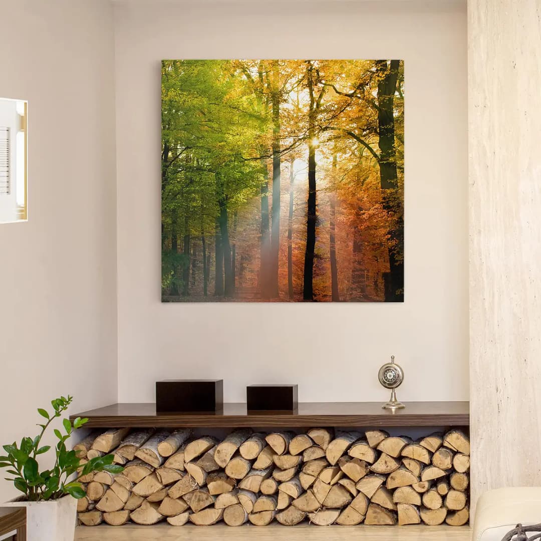 Bild Morning Light | Mehrfarbig