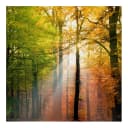 Bild Morning Light Webstoff Multicolor 70 x 70cm | Mehrfarbig