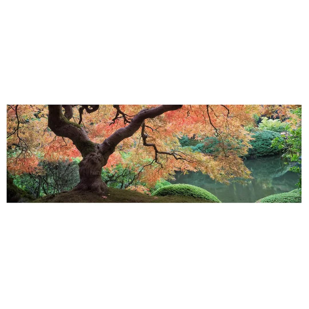 Bild Japanischer Garten | Mehrfarbig