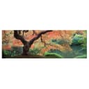 Bild Japanischer Garten | Mehrfarbig