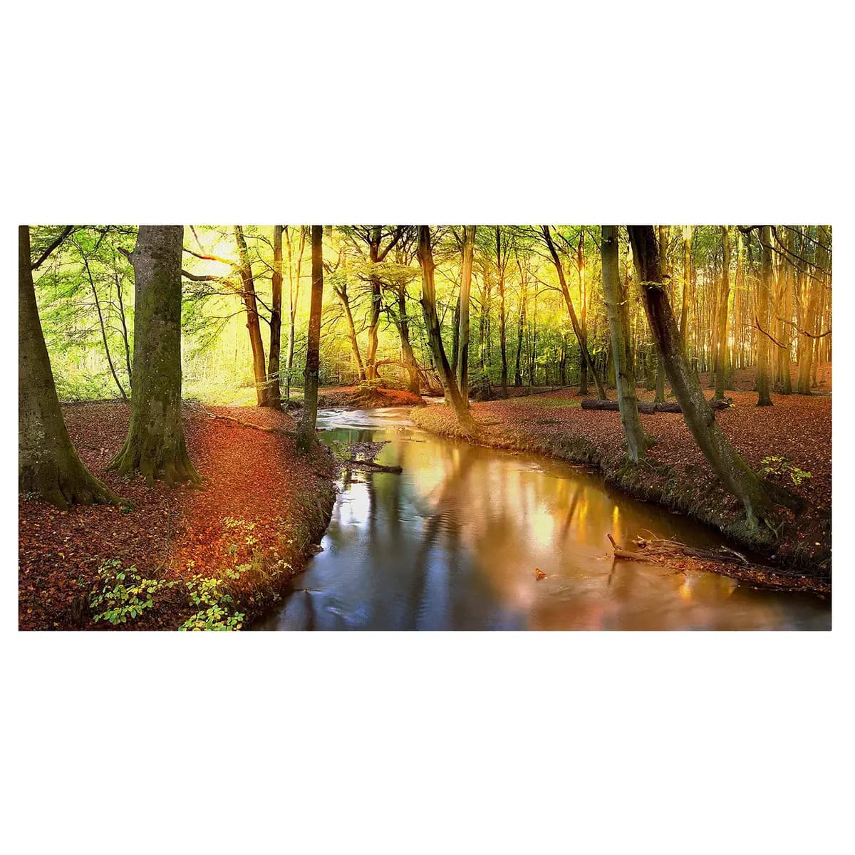 Bild Autumn Fairytale | Mehrfarbig