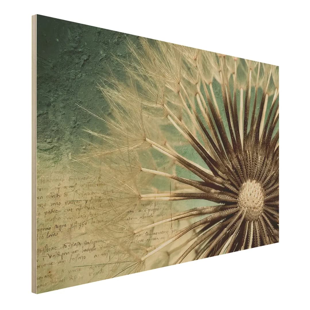 Bild Pusteblume Birke Multiplex Holzplatte | Mehrfarbig
