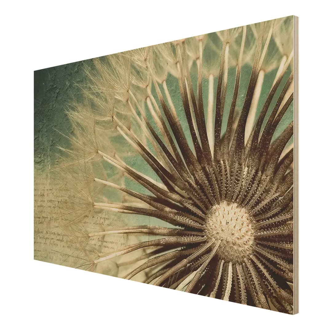 Bild Pusteblume Birke Multiplex Holzplatte | Mehrfarbig
