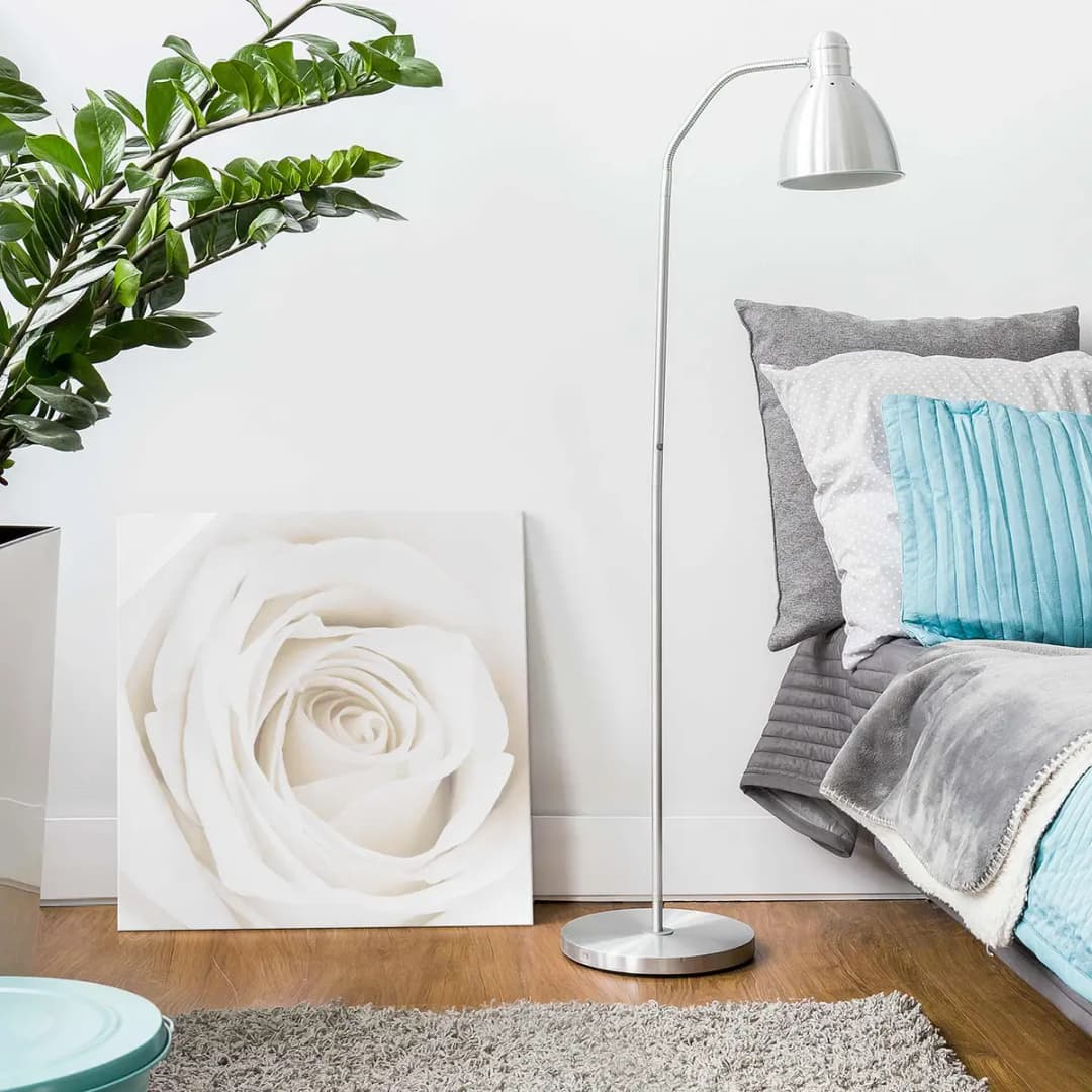 Bild Pretty White Rose II | Mehrfarbig
