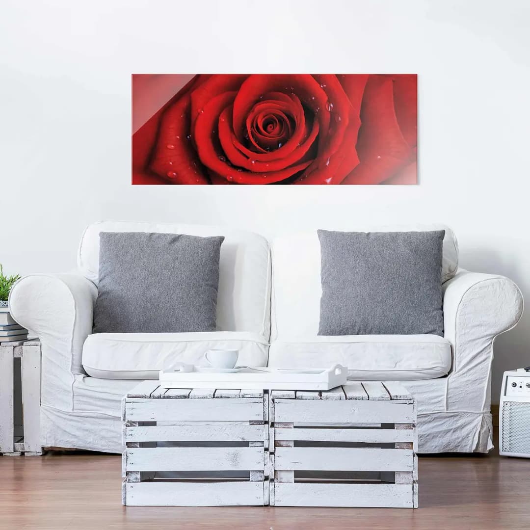 Bild Rote Rose mit Wassertropfen | Mehrfarbig