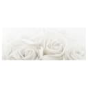 Bild Wedding Roses | Mehrfarbig