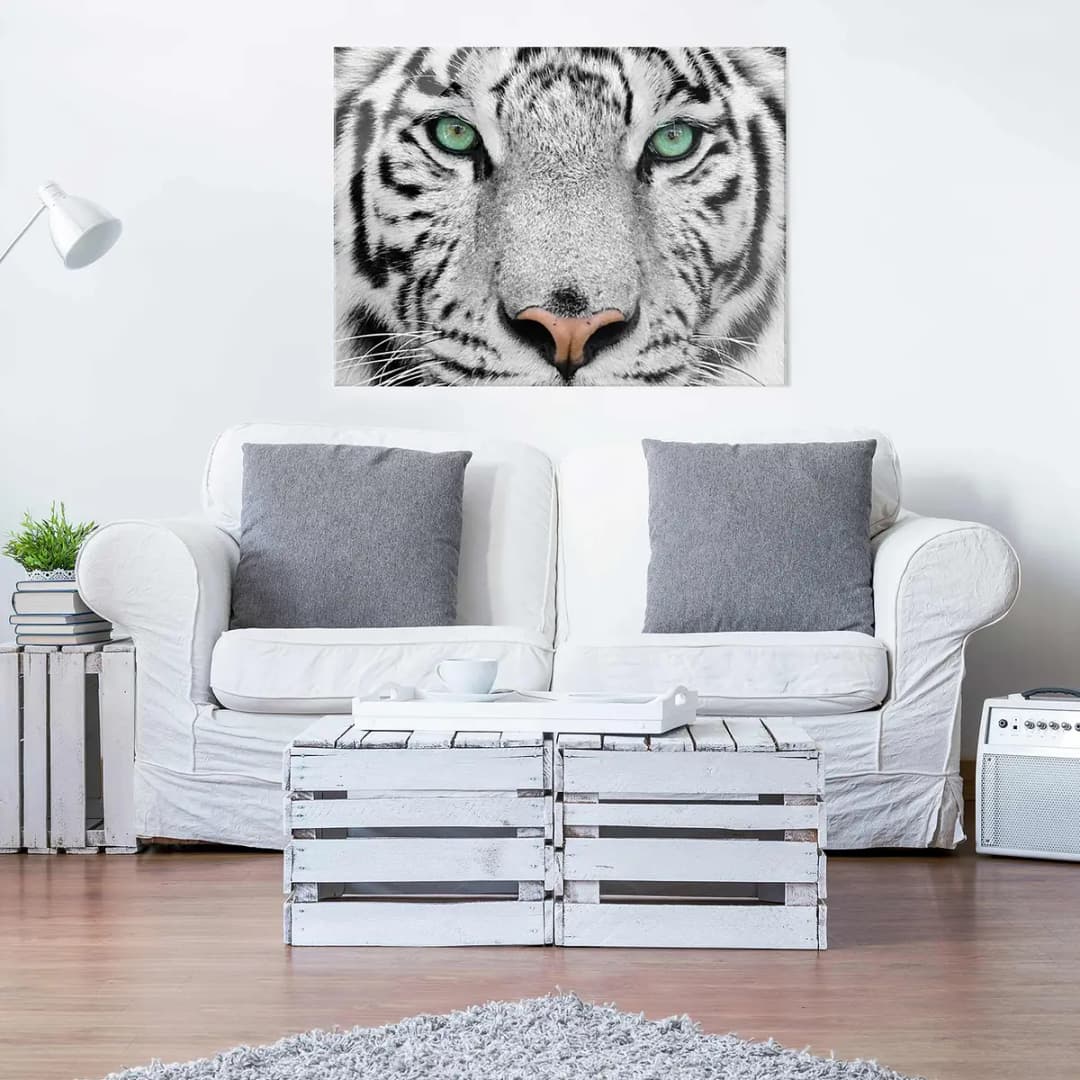 Bild Weißer Tiger | Mehrfarbig
