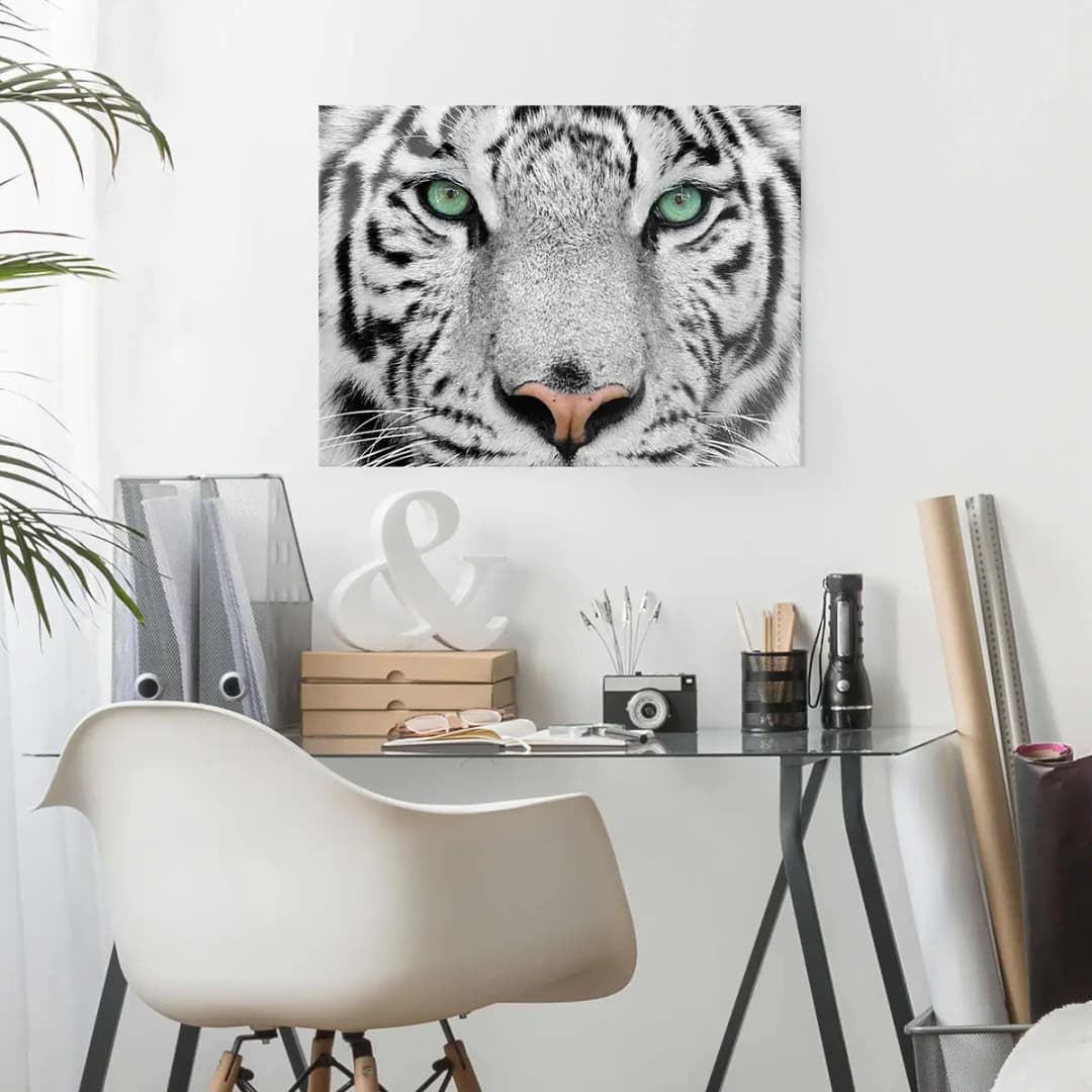 Bild Weißer Tiger | Mehrfarbig