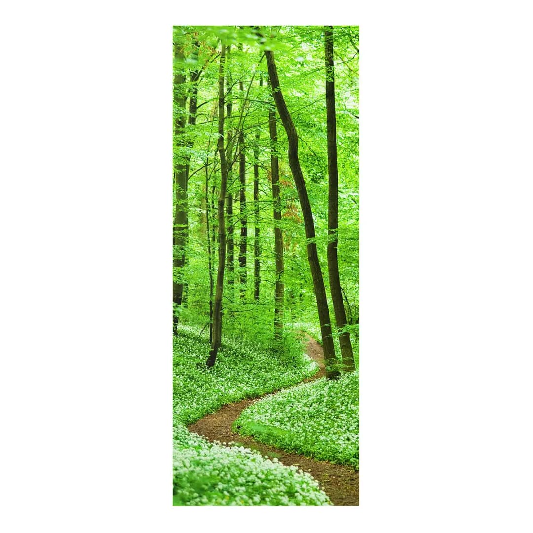 Bild Romantischer Waldweg | Mehrfarbig