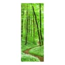 Bild Romantischer Waldweg | Mehrfarbig