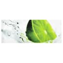 Bild Splash Lime | Mehrfarbig