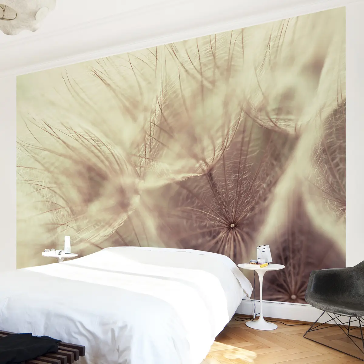 Vliestapete Pusteblumen Blur | Beige