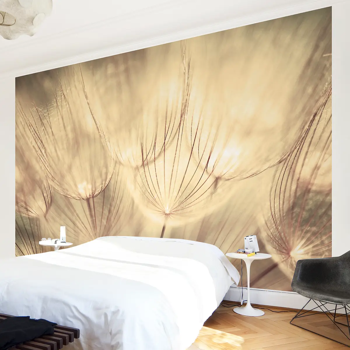 Vliestapete Pusteblumen Sepia | Beige