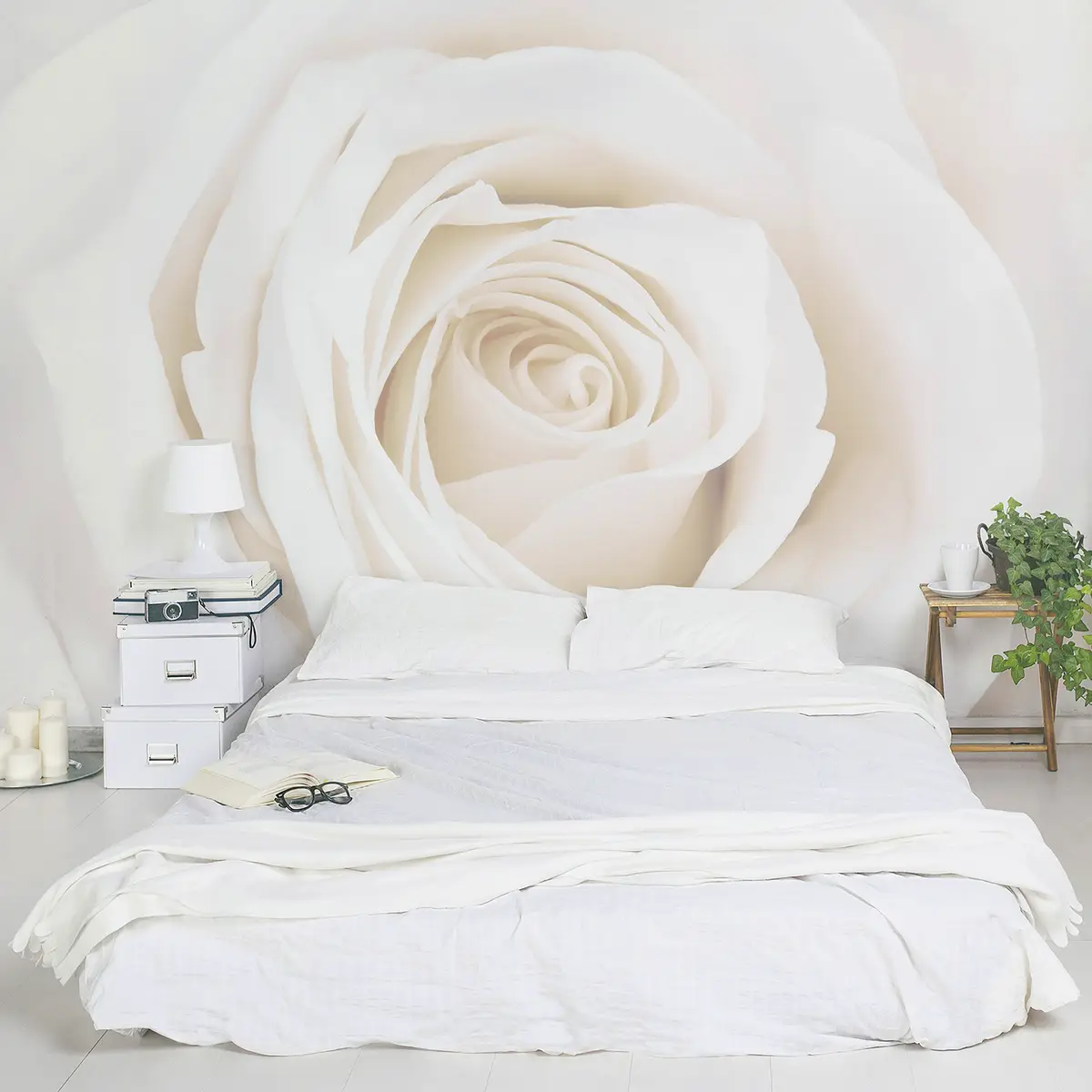 Vliestapete Pretty White Rose | Weiß
