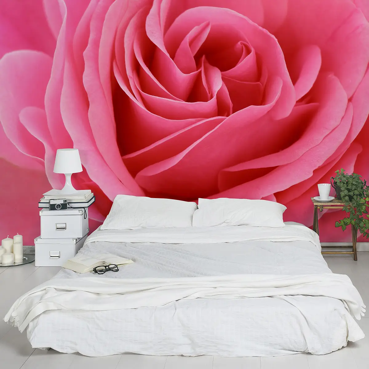 Vliestapete Lustful Pink Rose | Rosa