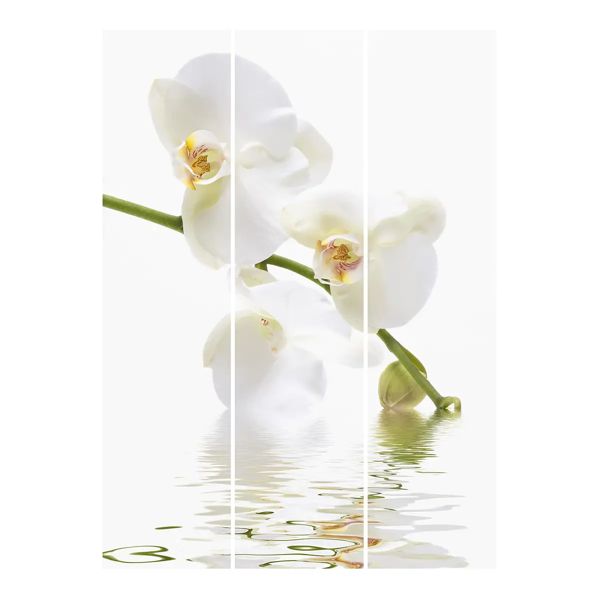 Schiebegardinen White Waters 3er-Set | Weiß