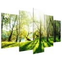 Acrylglasbild Green Glade | Grün