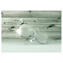 Vliestapete Beauty in Drops of Water | Grau