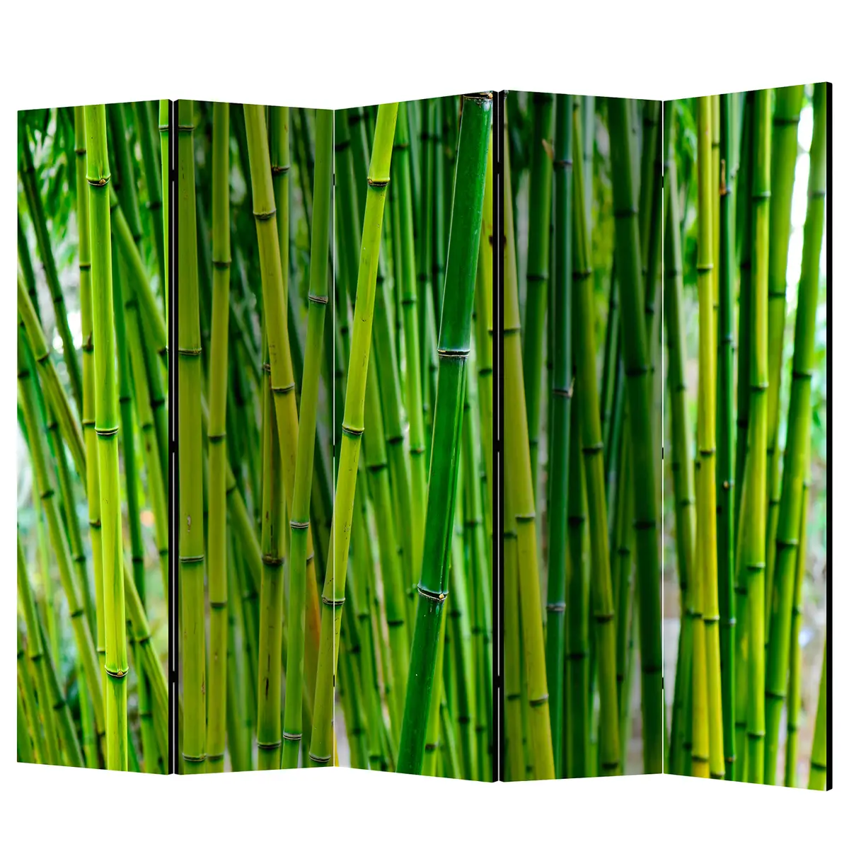 Paravent Bamboo Forest | Grün