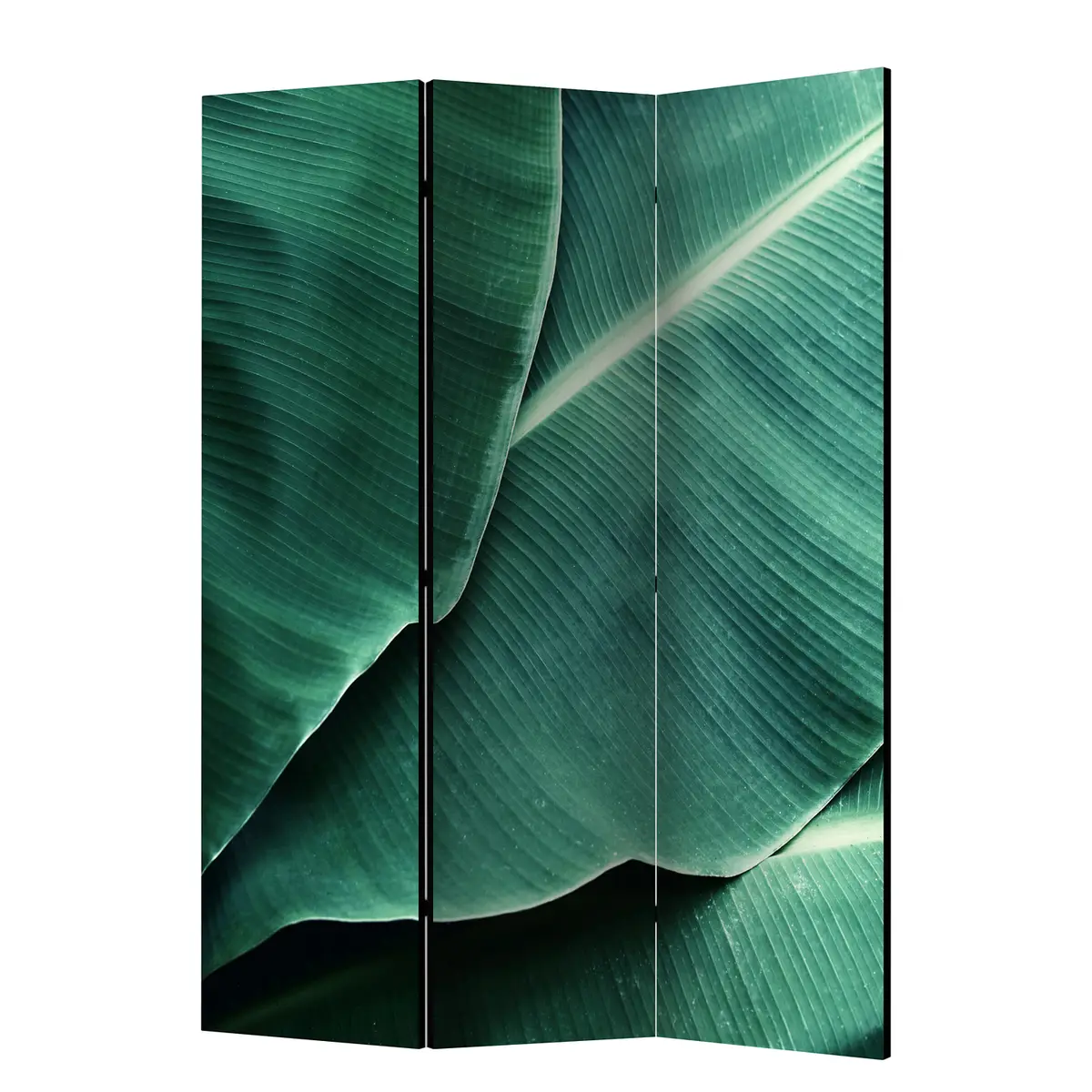 Paravent Banana Leaf | Grün