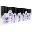 Bild Water Orchids | Mehrfarbig