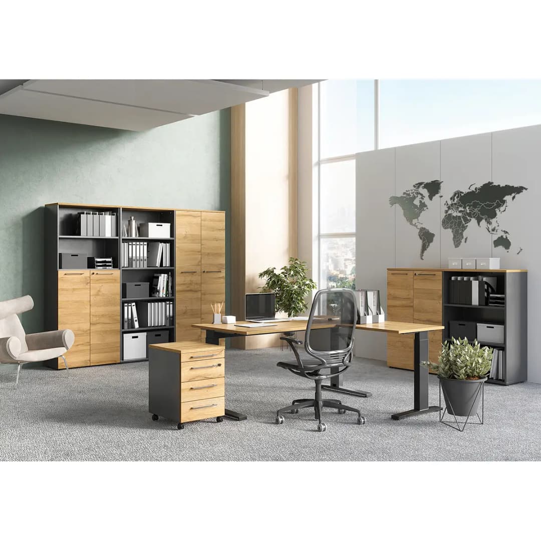 Rollcontainer GW-Agenda | Braun