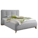 Polsterbett Trotwood 140 x 200cm | Grau