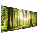Wandbild Sunlight | Grün