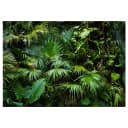 Vlies Fototapete Sunny Jungle | Grün