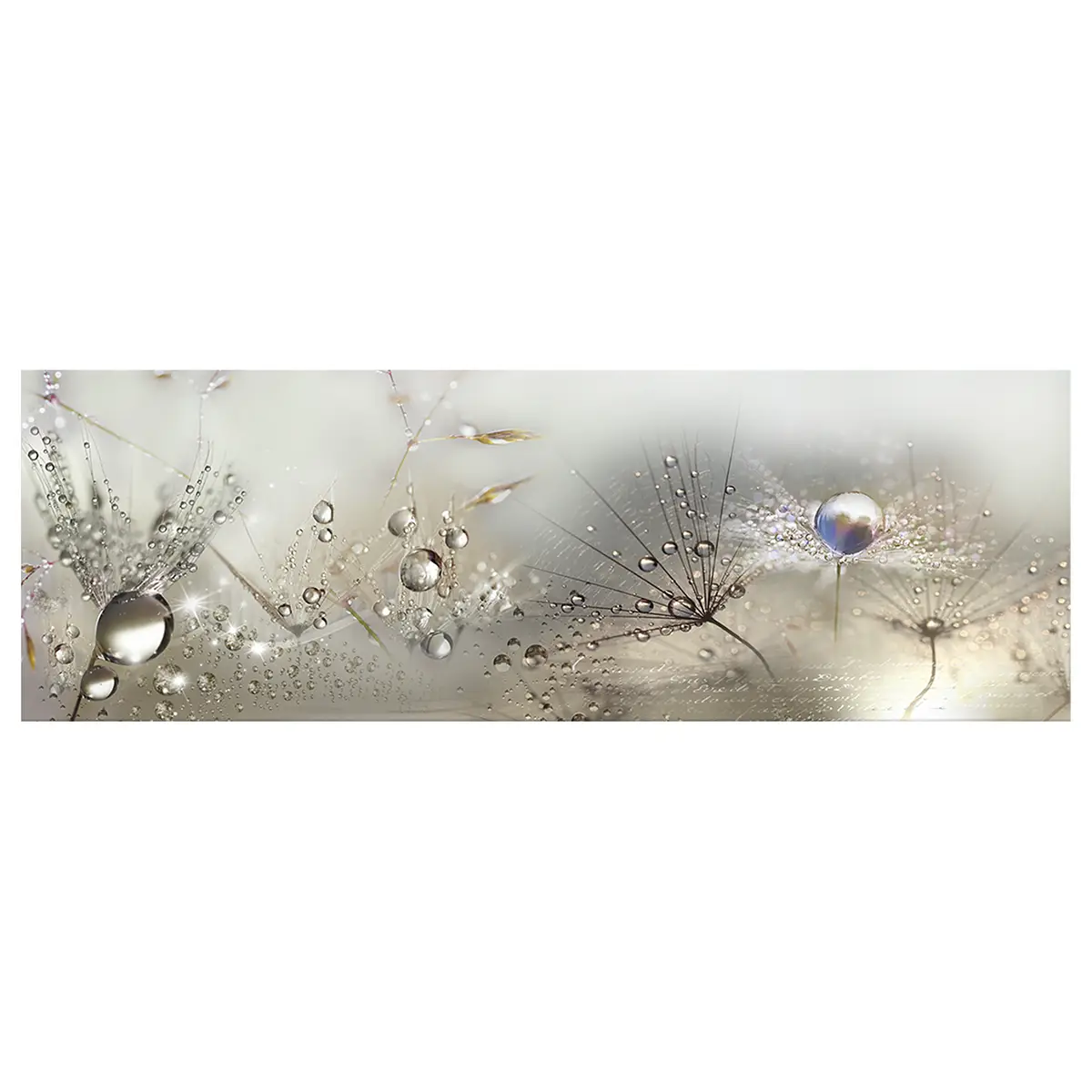 Wandbild Morning Song | Grau