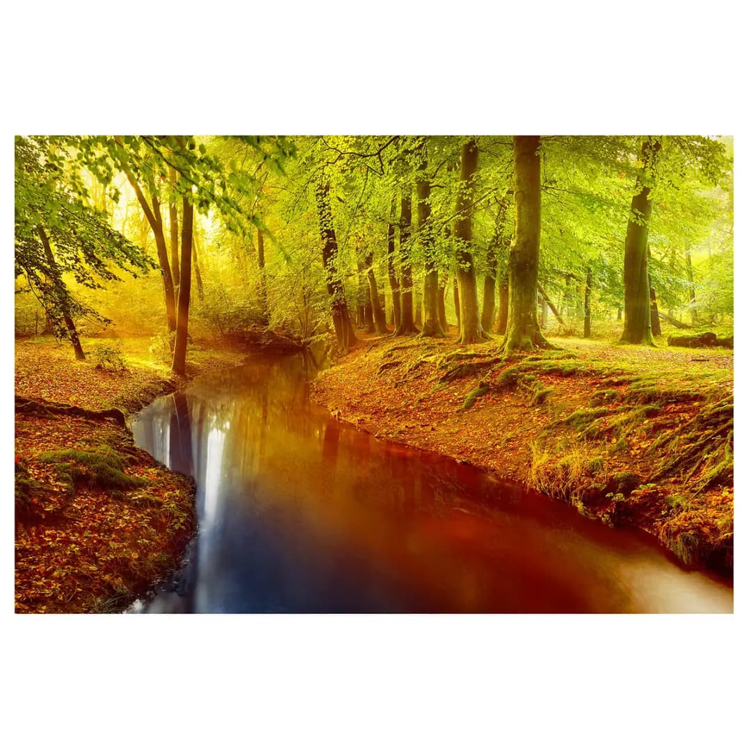Magnettafel Herbstwald | Braun